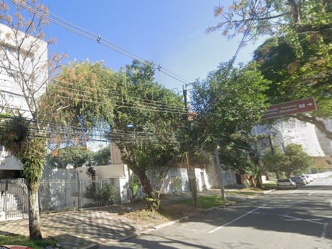 Senecios – foto 3