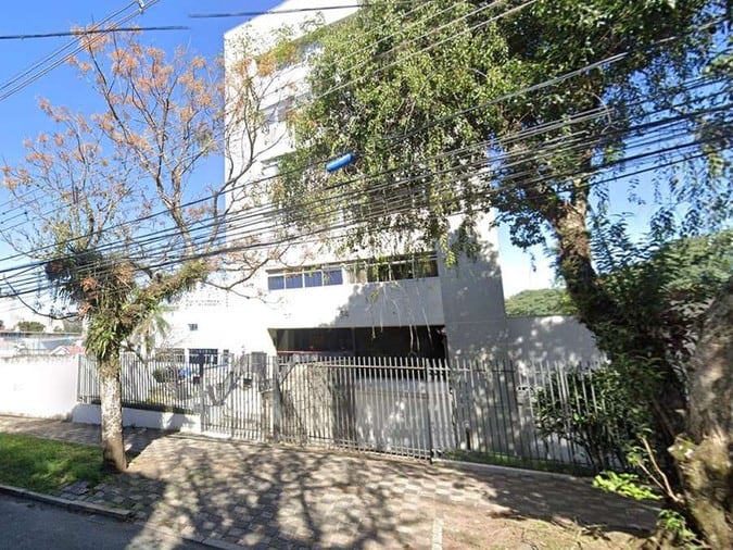 Senecios – foto 1